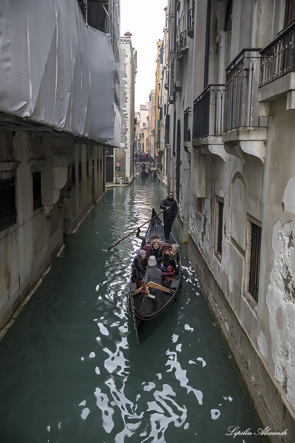 Венеция (Venezia)