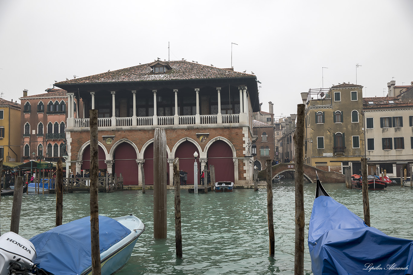 Венеция (Venezia)