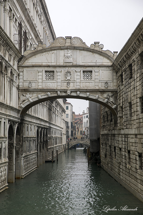Венеция (Venezia) 