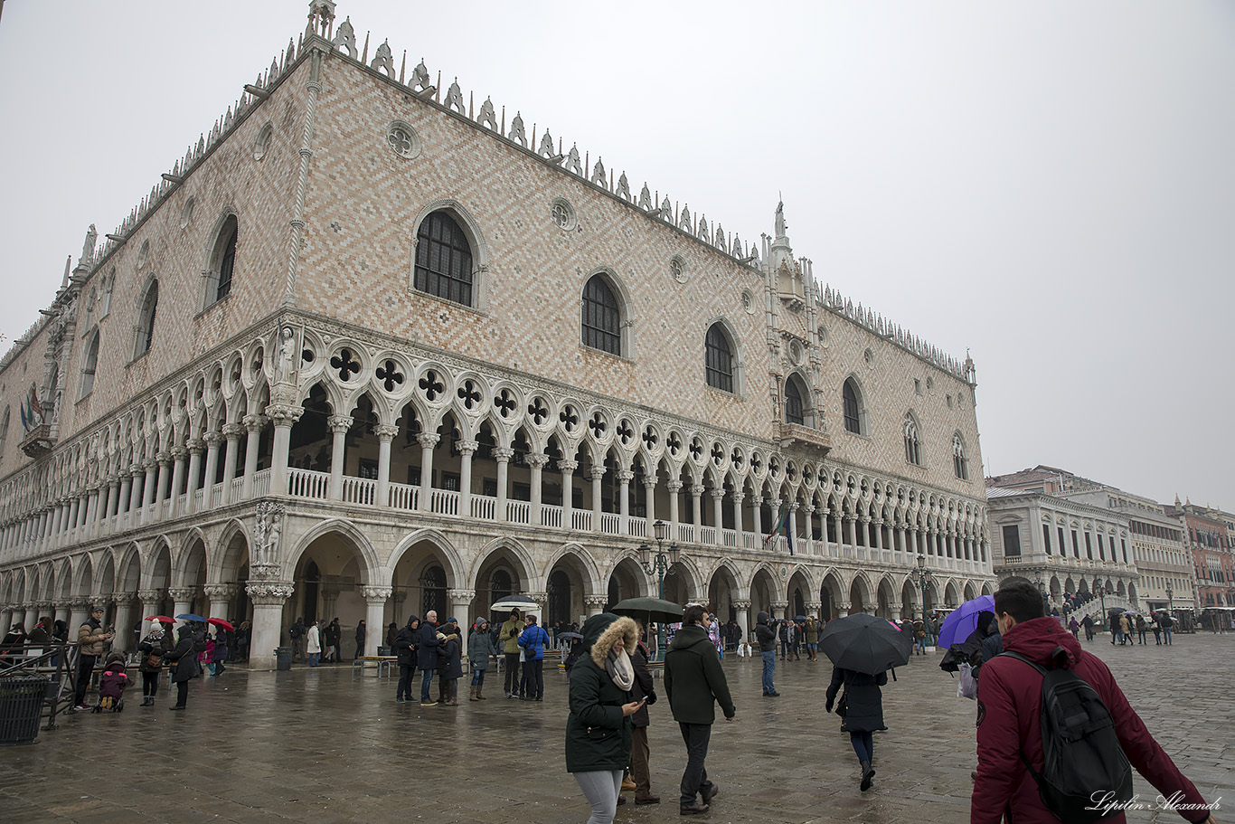 Венеция (Venezia) 