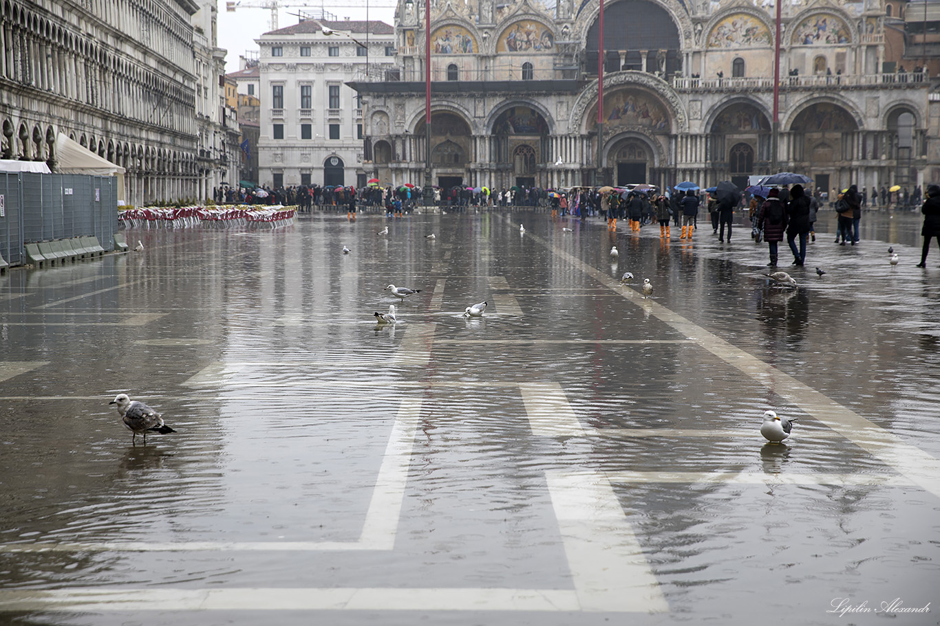 Венеция (Venezia) 