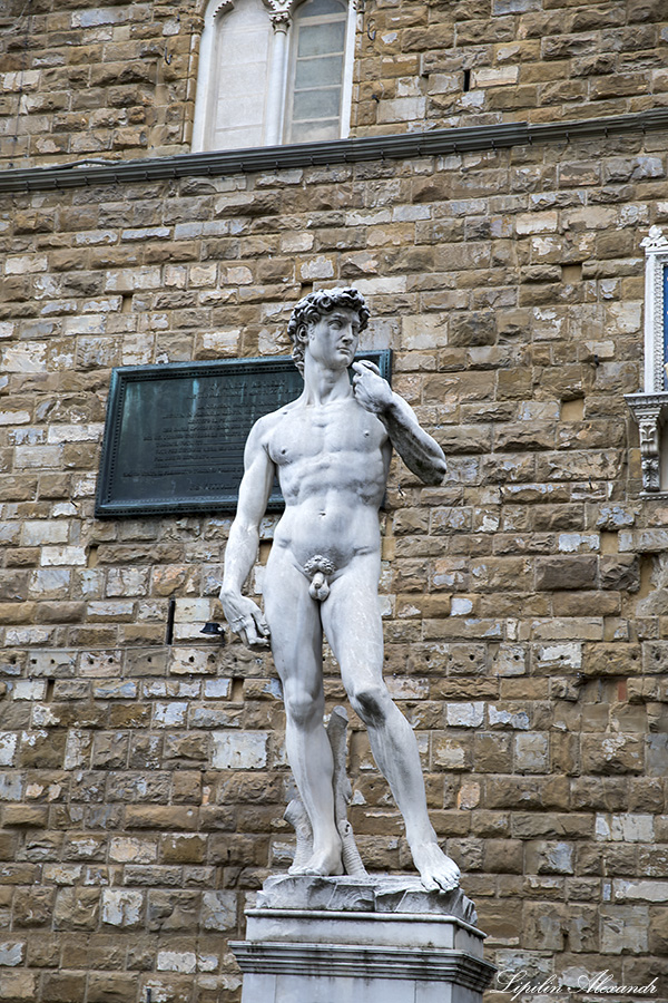 Флоренция (Firenze) 