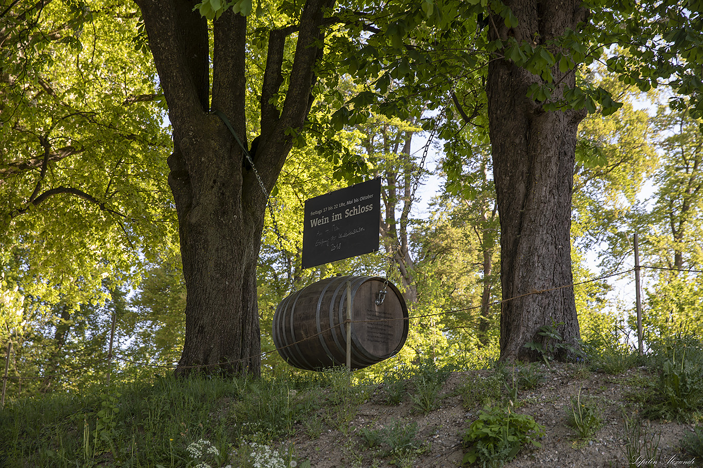 Замок Мёрсбург (Schloss Mörsburg)   