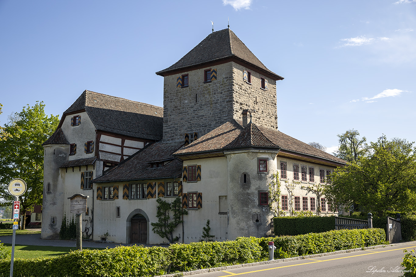 Замок Хэги (Schloss Hegi) 