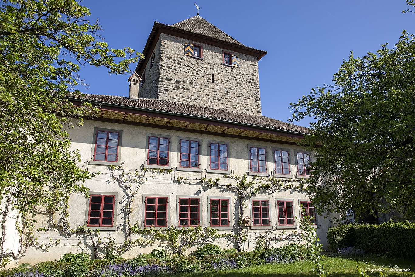 Замок Хэги (Schloss Hegi) 