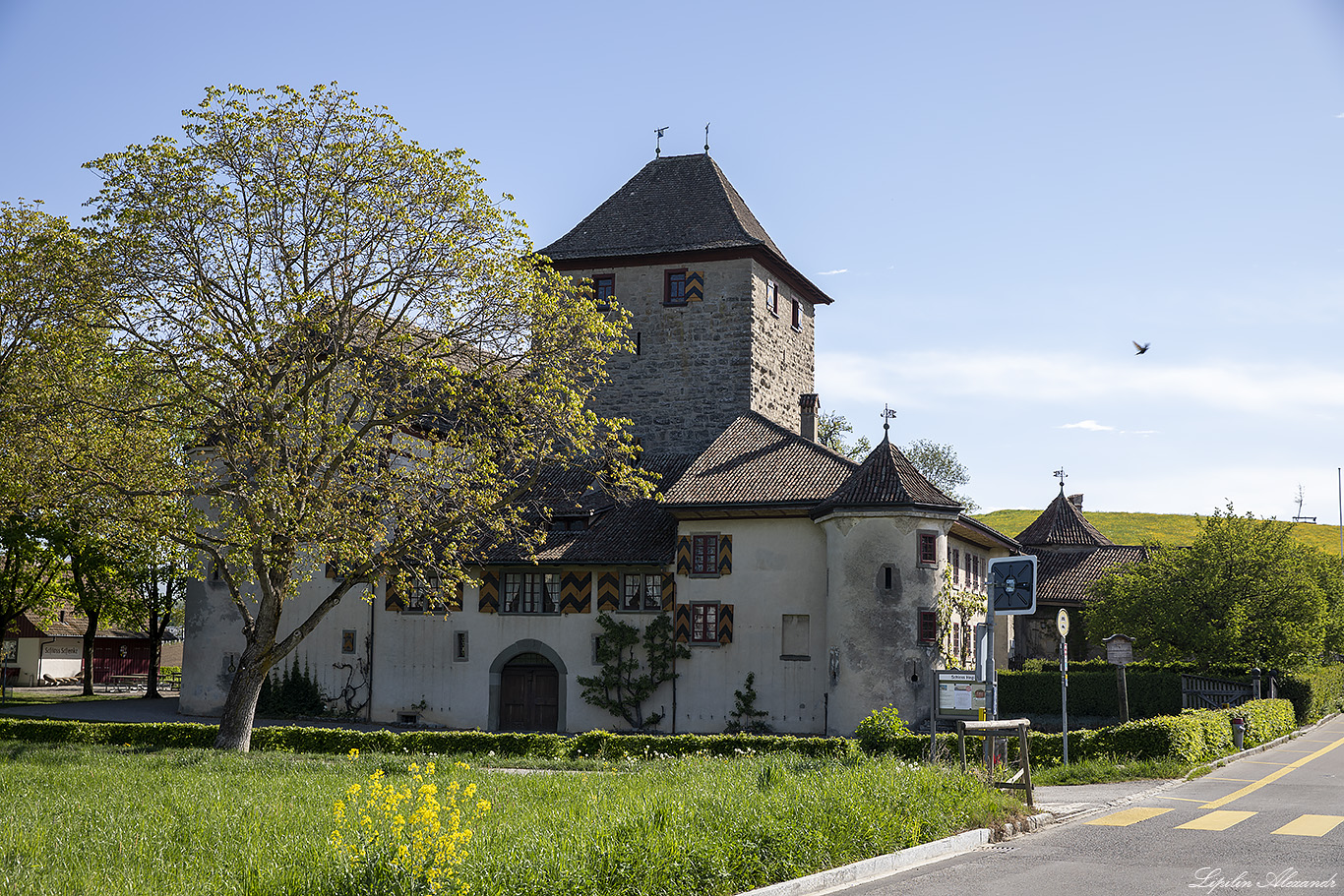 Замок Хэги (Schloss Hegi) 