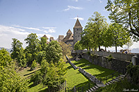 -(Rapperswil-Jona)