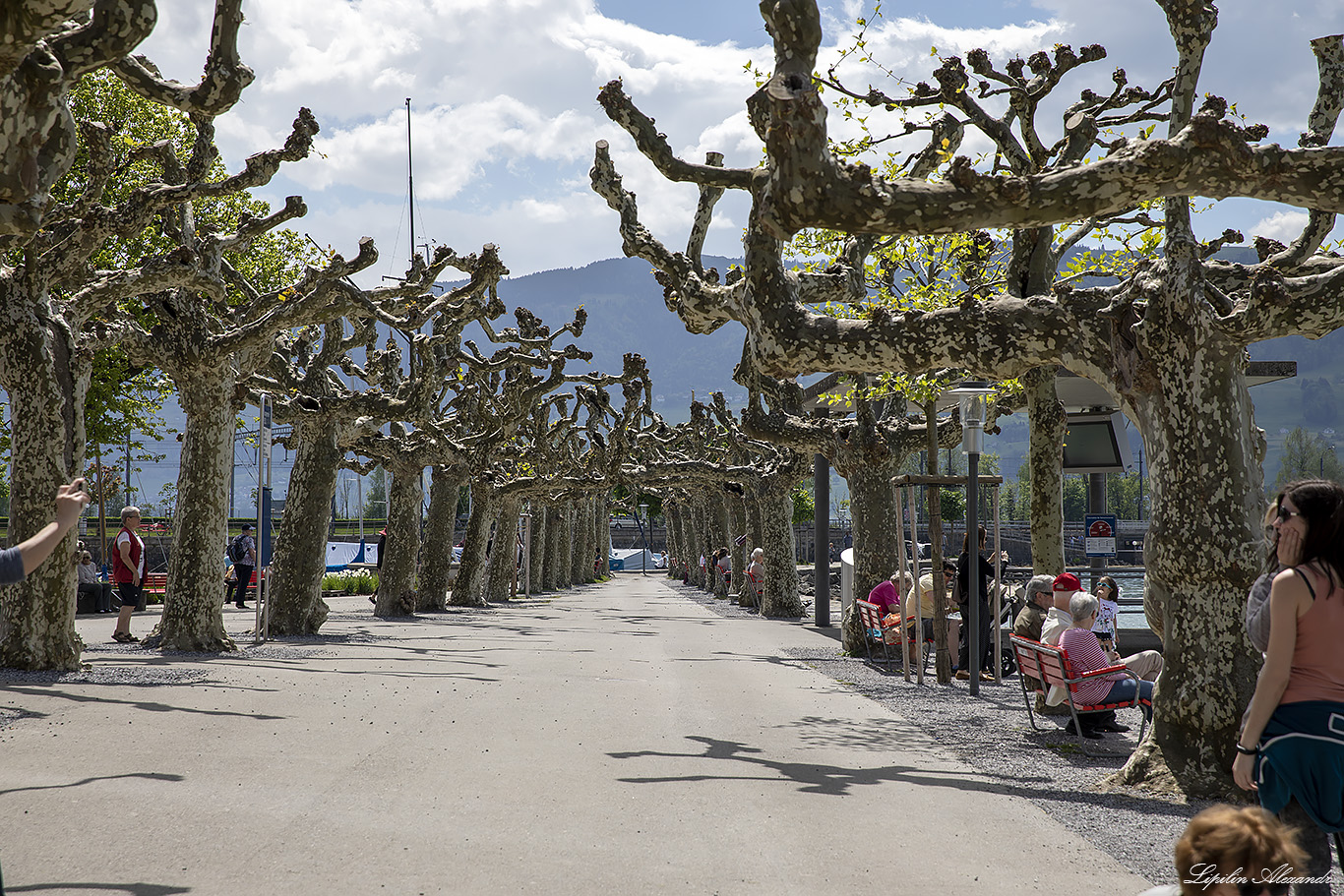 Рапперсвиль-Йона (Rapperswil-Jona)