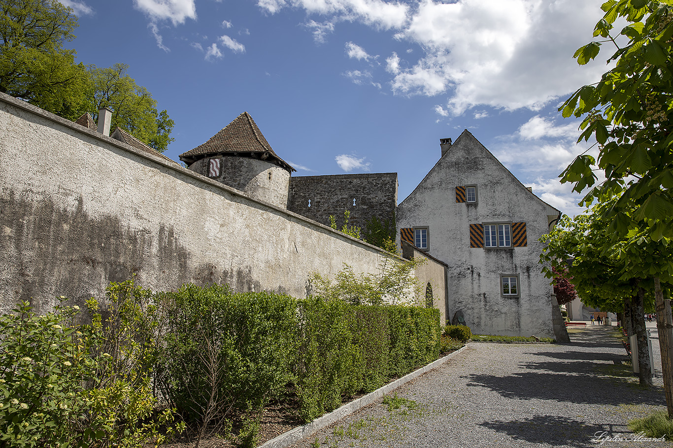 Рапперсвиль-Йона (Rapperswil-Jona)