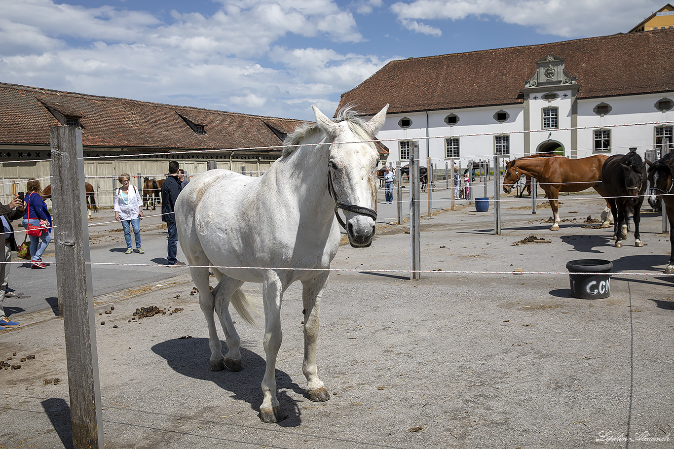 Айнзидельн (Einsiedeln) Территориальное аббатство Айнзидельна  (Kloster  Einsiedeln) 