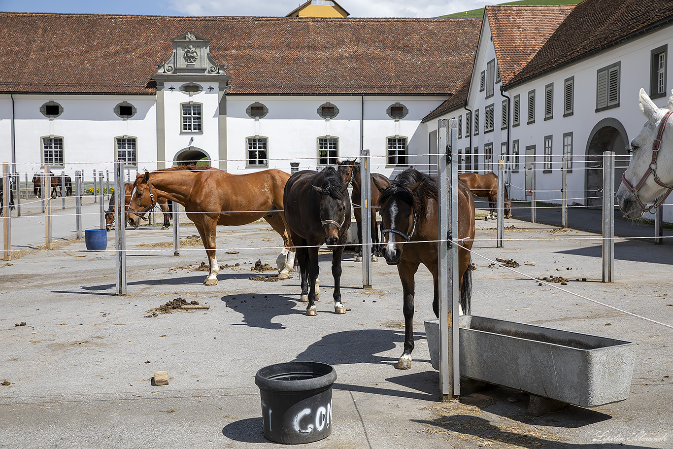 Айнзидельн (Einsiedeln) Территориальное аббатство Айнзидельна  (Kloster  Einsiedeln) 