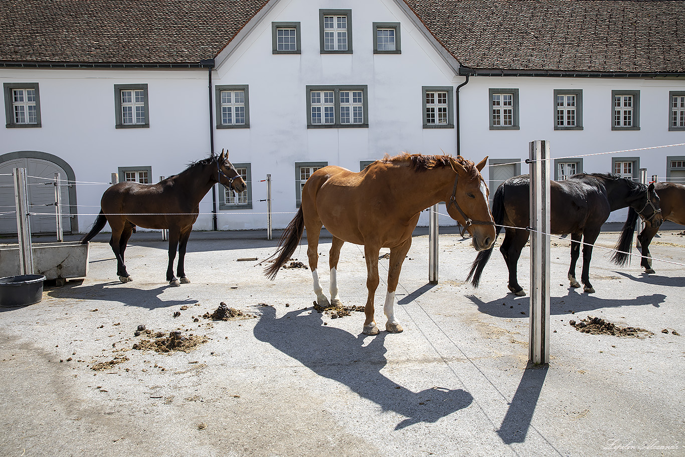 Айнзидельн (Einsiedeln) Территориальное аббатство Айнзидельна  (Kloster  Einsiedeln) 