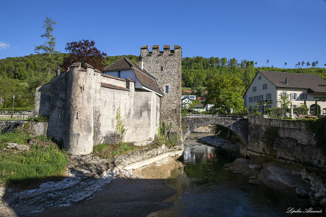 Цвинген (Zwingen) Замок Цвинген (Schloss Zwingen)