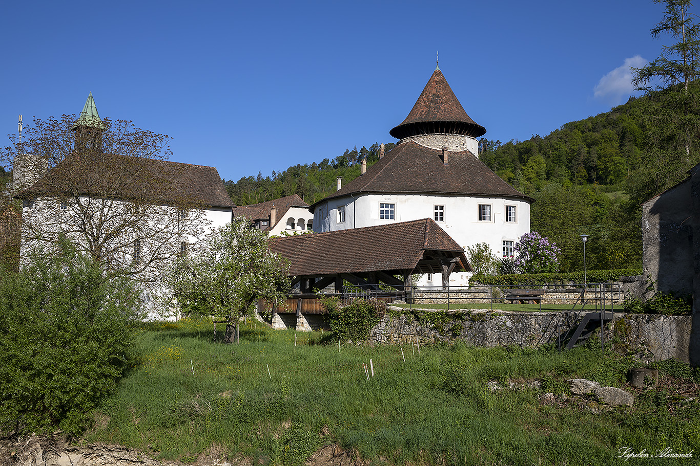 Цвинген (Zwingen) Замок Цвинген (Schloss Zwingen)