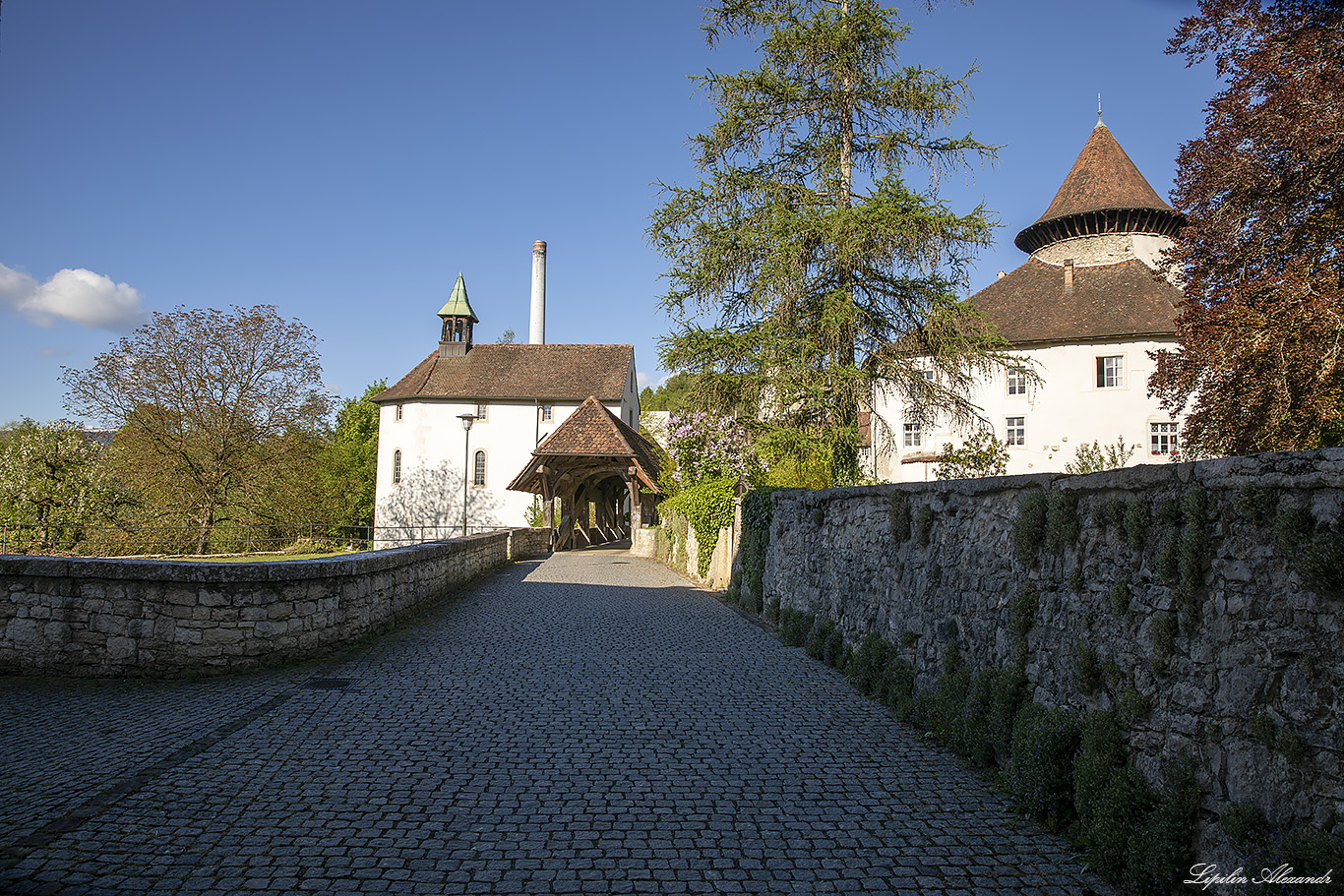 Цвинген (Zwingen) Замок Цвинген (Schloss Zwingen)