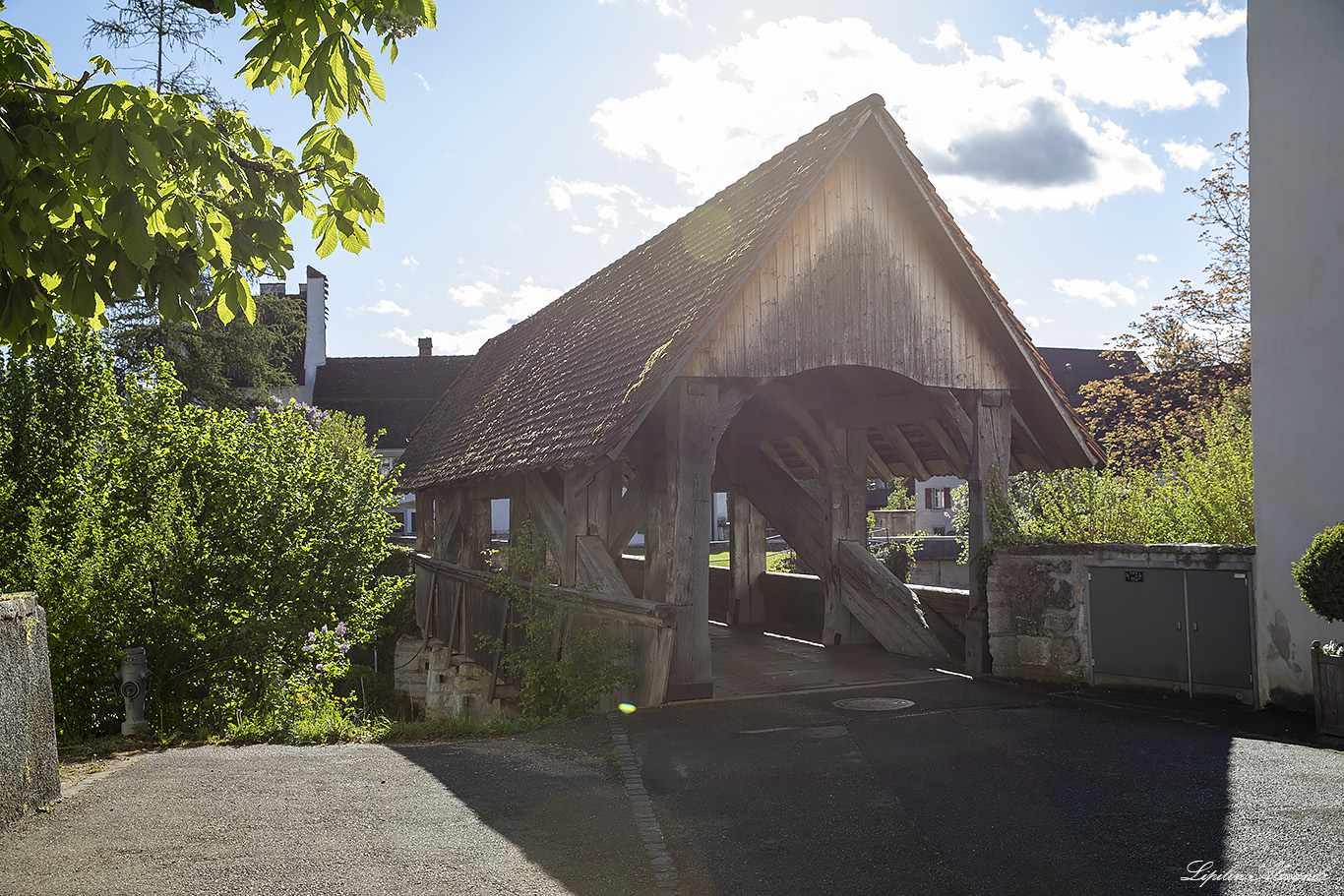 Цвинген (Zwingen) Замок Цвинген (Schloss Zwingen)