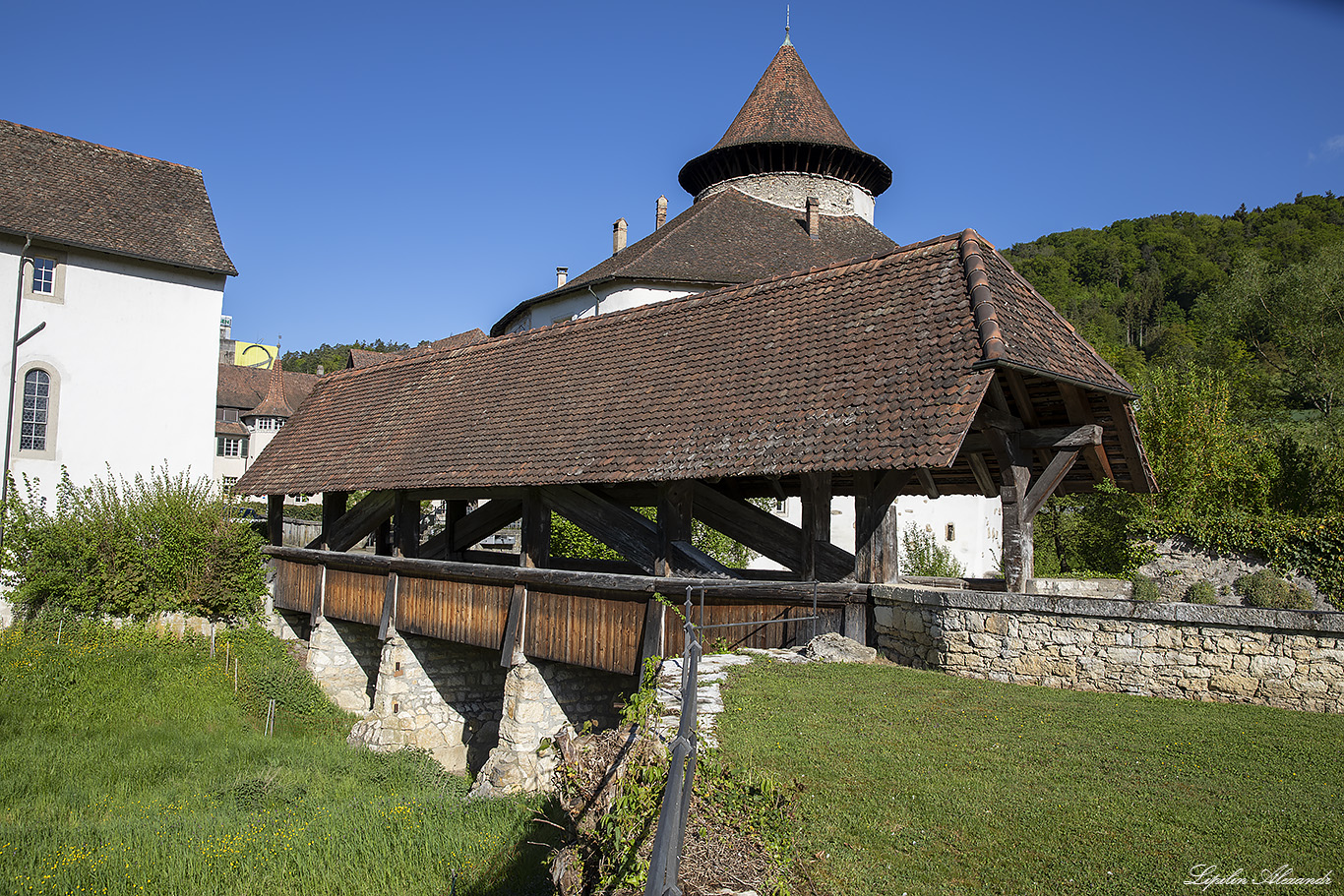 Цвинген (Zwingen) Замок Цвинген (Schloss Zwingen)