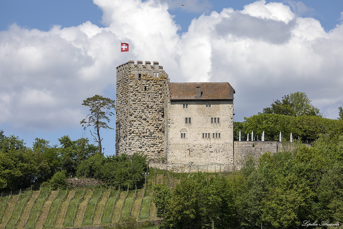 Замок Габсбург (Schloss Habsburg) 