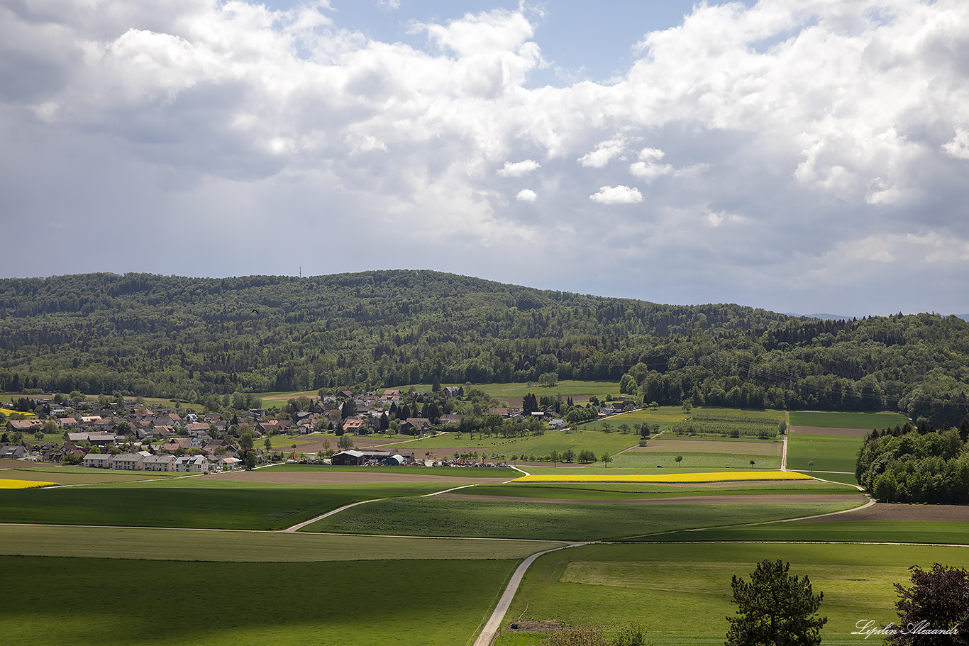 Замок Габсбург (Schloss Habsburg) 