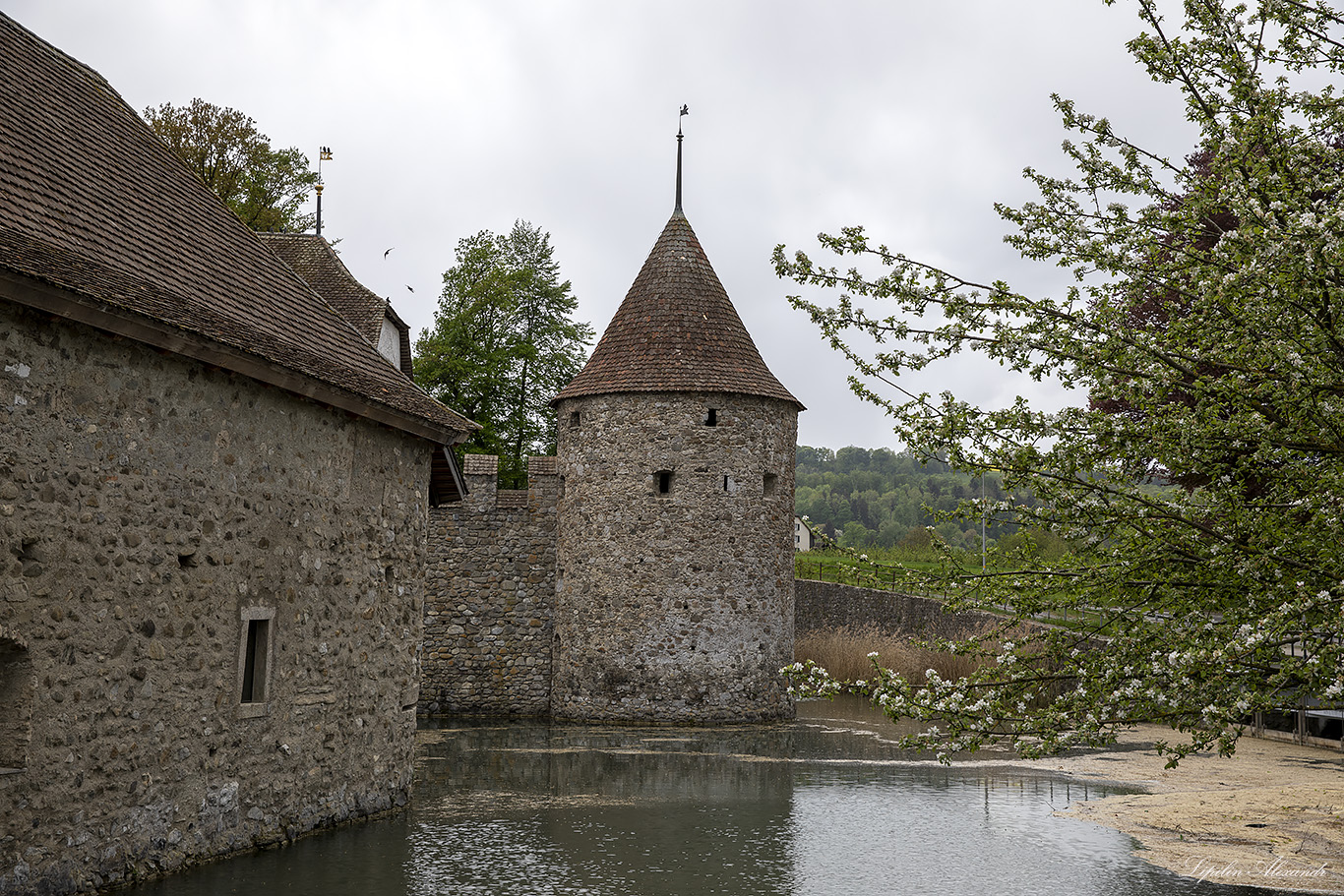 Замок Хальвиль (Schloss Hallwyl)  