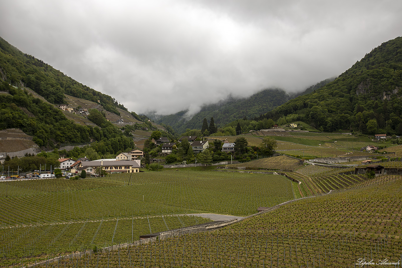 Замок Эгль - Эгль (Aigle) - Швейцария (Switzerland) -  Aigle Castle