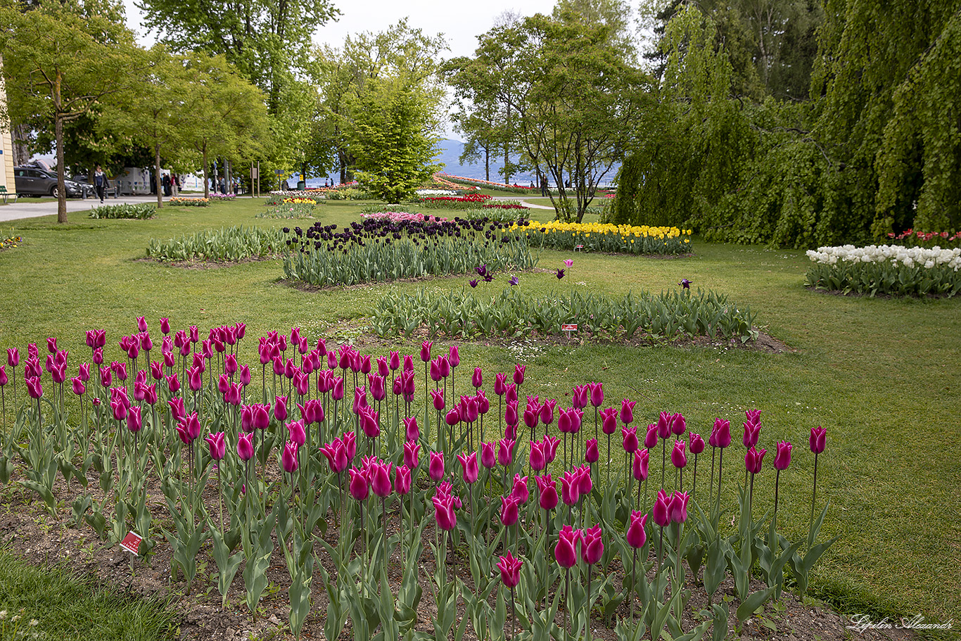 Замок Морж Морж (Morges) - Швейцария (Switzerland)