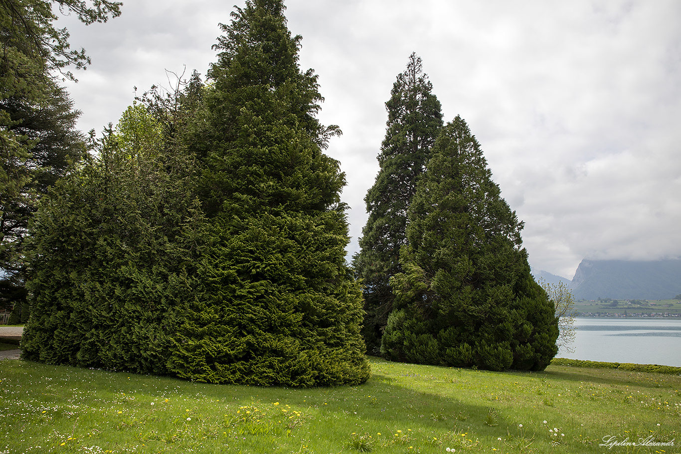 Замок Оберхофен (Schloss Oberhofen) 