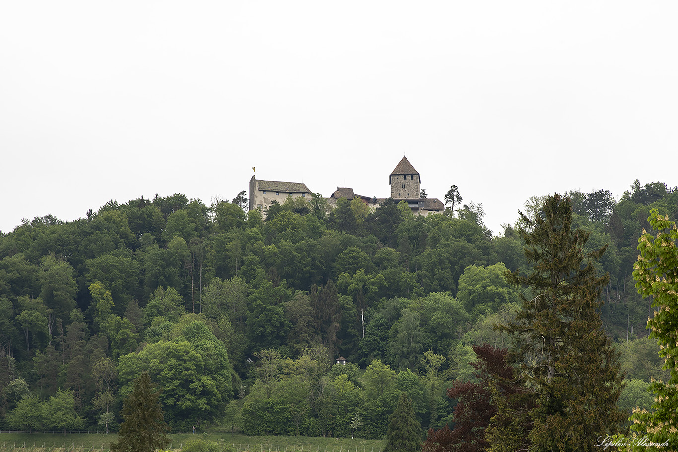 Замок Хоэнклинген  - Burg Hohenklingen - Швейцария (Switzerland)