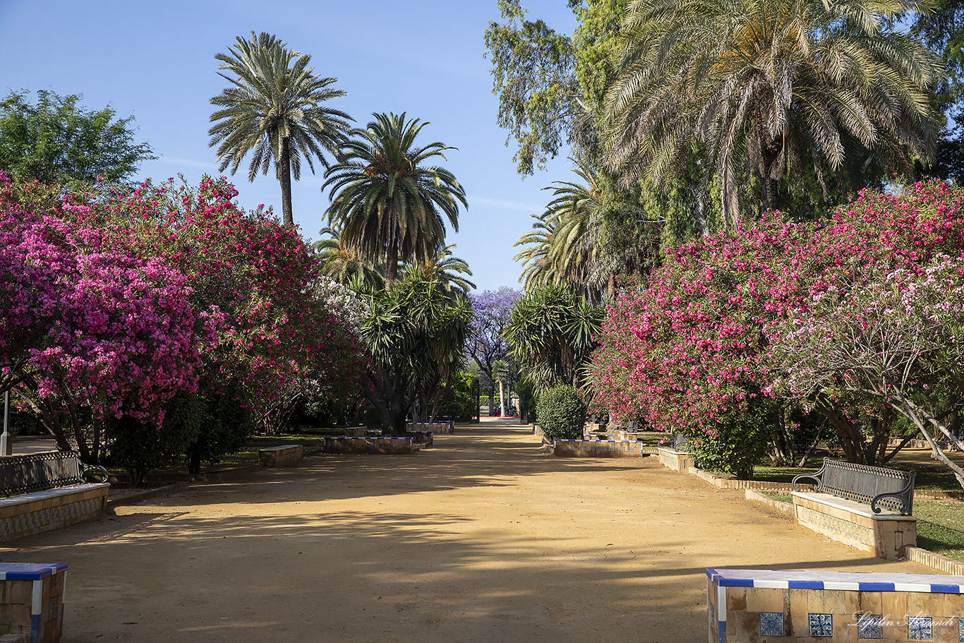 Севилья (Sevilla) - Испания (Spain)