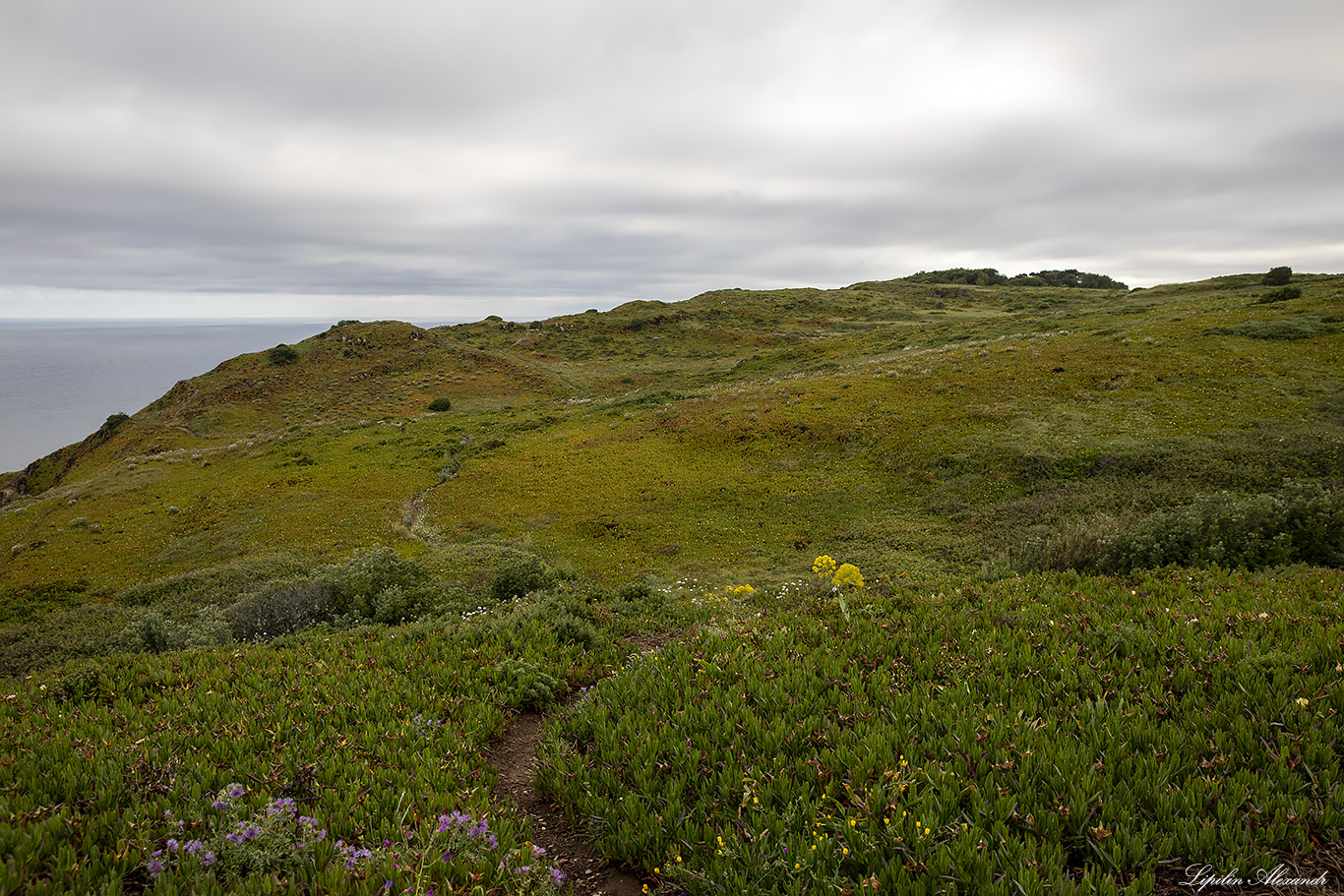 Мыс Рока (Cabo da Roca) 