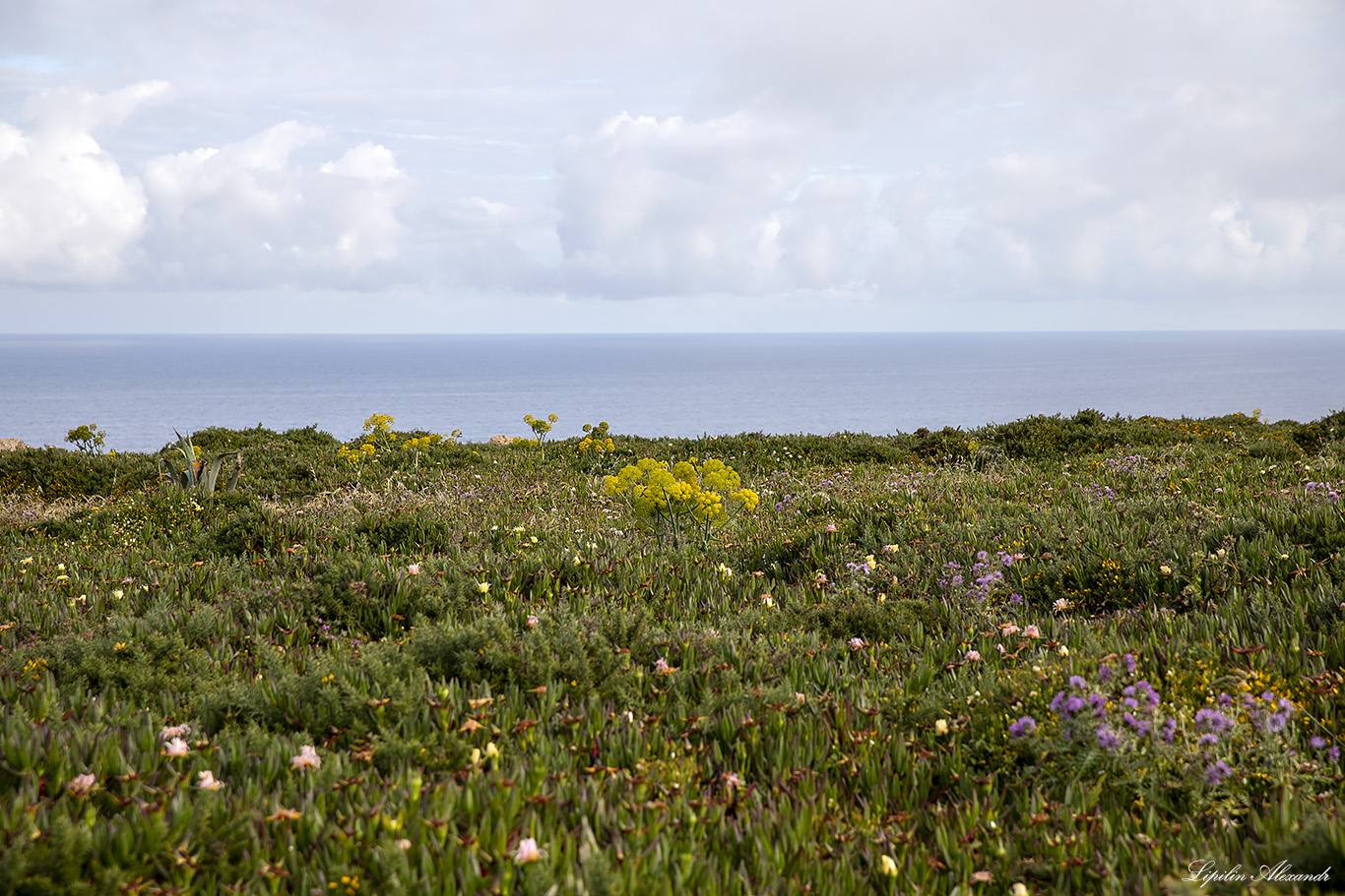 Мыс Рока (Cabo da Roca) 