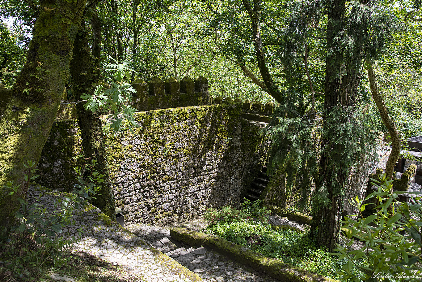 Замок Мавров (Castelo dos Mouros) - Португалия (Portugal)