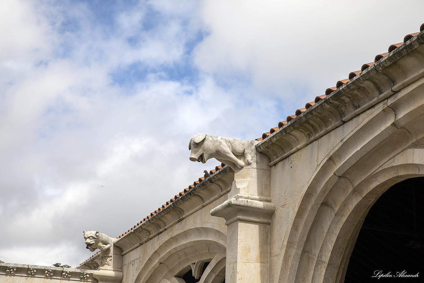 Монастырь Санта-Мария де Алкобаса  - Алкобаса (Alcobaça) - Португалия (Portugal) - (Mosteiro de Alcobaça) 