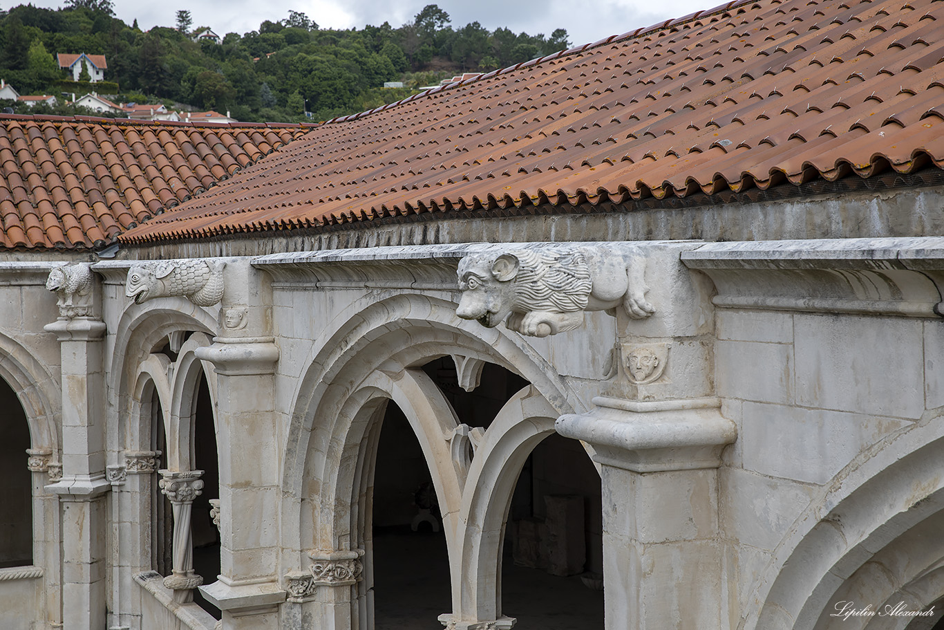 Монастырь Санта-Мария де Алкобаса  - Алкобаса (Alcobaça) - Португалия (Portugal) - (Mosteiro de Alcobaça) 