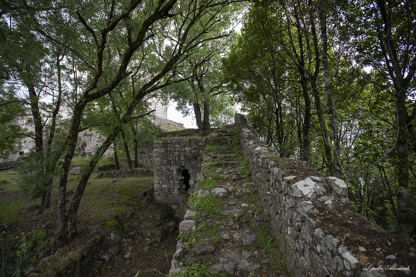 Замок Лерия (Castelo de Leiria)  - Лерия (Leiria) - Португалия (Portugal)