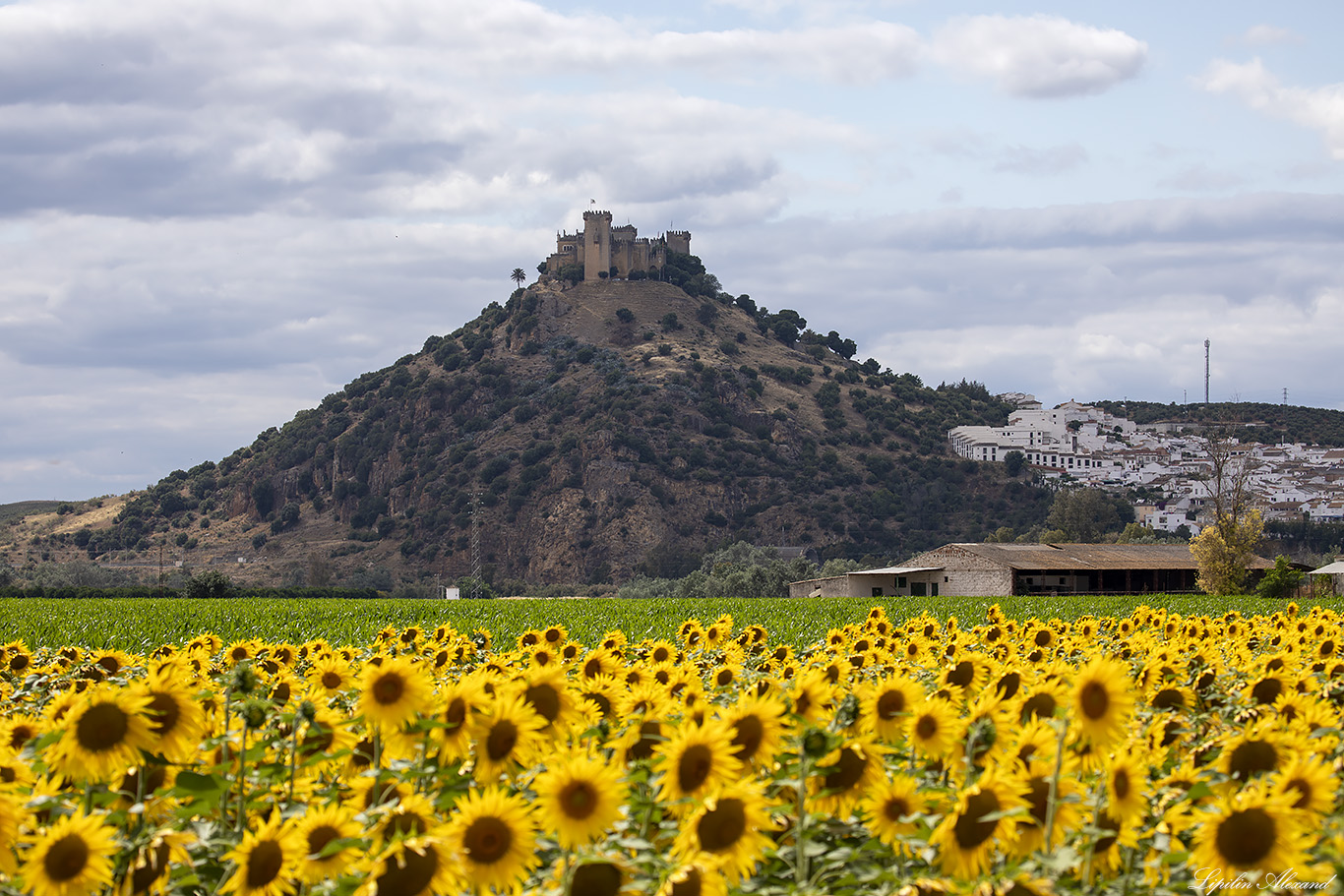 Замок Альмодовар - (Castle of Almodovar del Rio) - Испания (Spain)