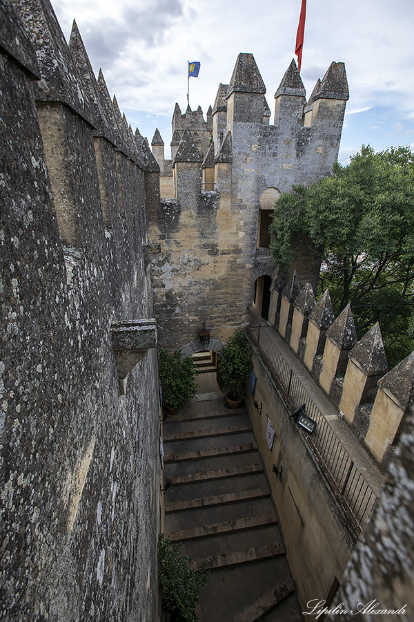 Замок Альмодовар - (Castle of Almodovar del Rio) - Испания (Spain)