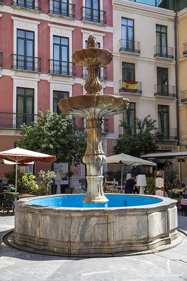 Малага (Málaga) - Испания (Spain)