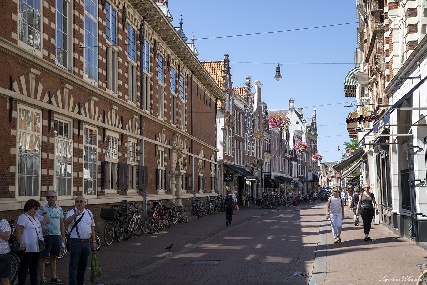 Харлем (Haarlem) - Нидерланды (Nederland)