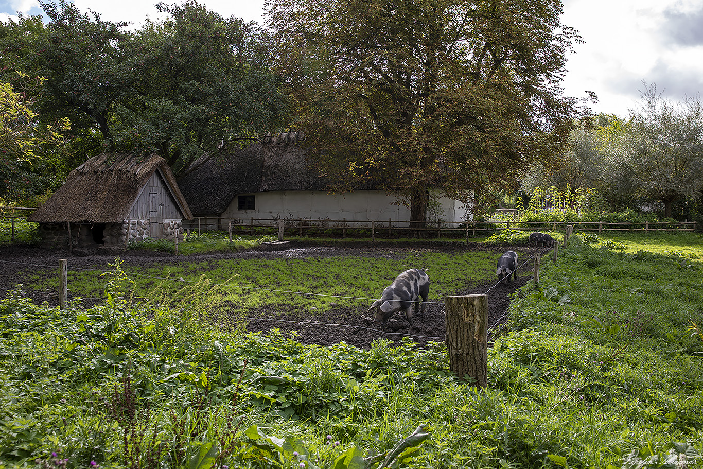 Фюнская деревня (The Funen Village)  - Оденсе (Odense) - Дания (Danmark)