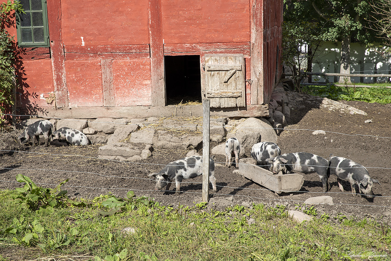 Фюнская деревня (The Funen Village) 