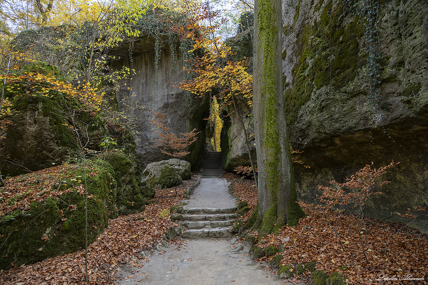 Крепость Цвернитц ( Burg Zwernitz) - Заншпарайль (Sanspareil) - Германия (Deutschland)