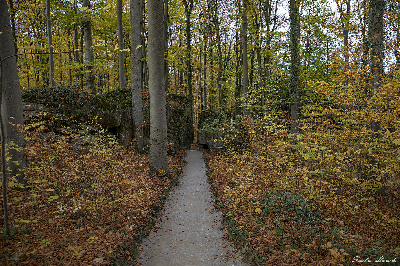 Крепость Цвернитц ( Burg Zwernitz) - Заншпарайль (Sanspareil) - Германия (Deutschland)