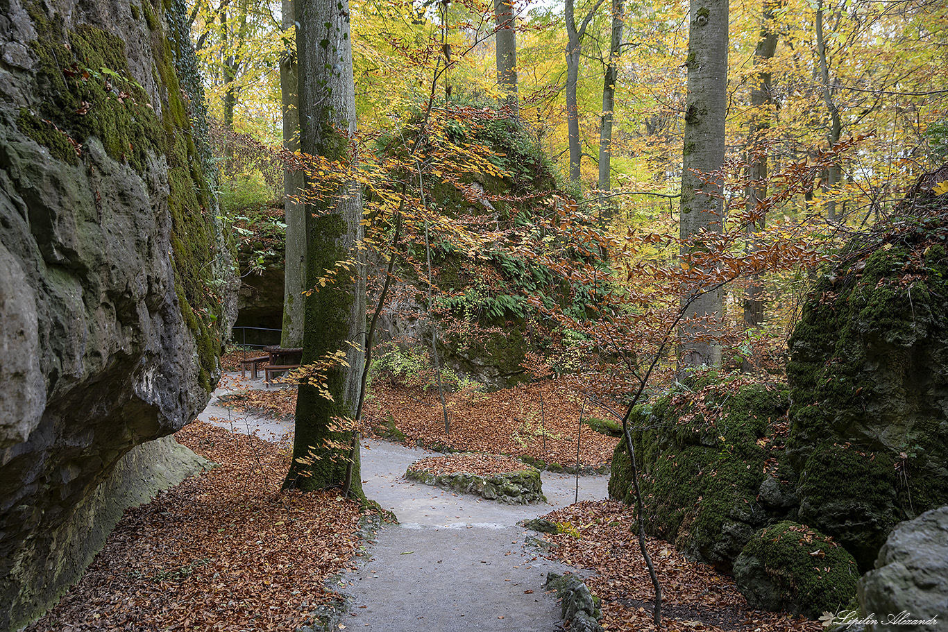 Крепость Цвернитц ( Burg Zwernitz) - Заншпарайль (Sanspareil) - Германия (Deutschland)