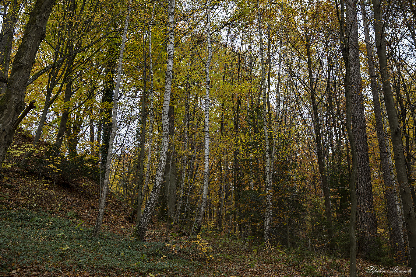 Дворец Фантазия (Schloss Fantaisie) - Эккерсдорф (Eckersdorf) - Германия (Deutschland)