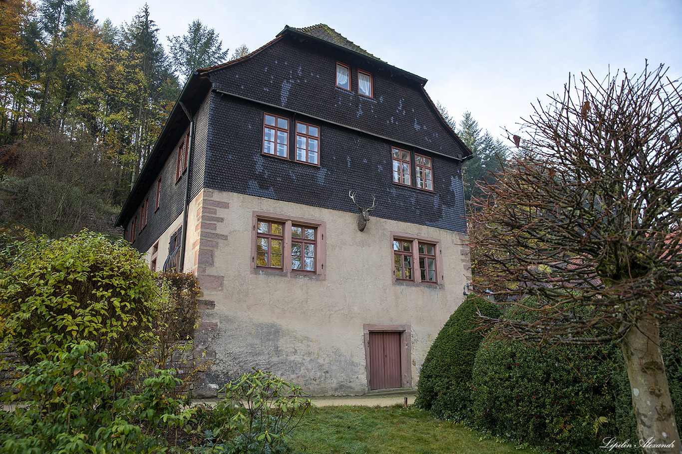 Замок Меспельбрунн (Schloss Mespelbrunn) - Меспельбрунн (Mespelbrunn) - Германия (Deutschland)