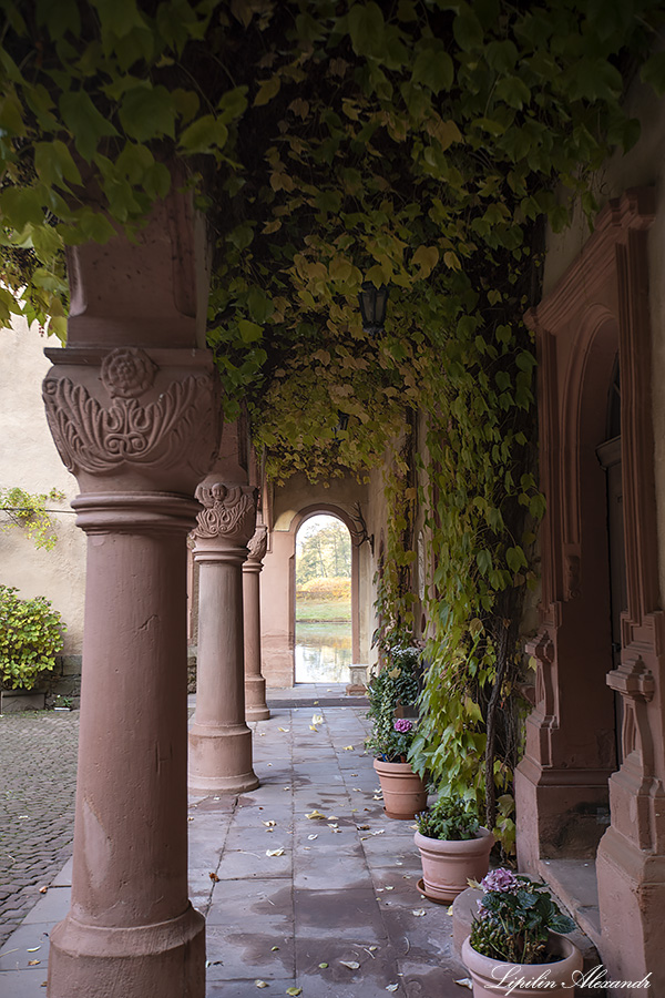 Замок Меспельбрунн (Schloss Mespelbrunn) - Меспельбрунн (Mespelbrunn) - Германия (Deutschland)