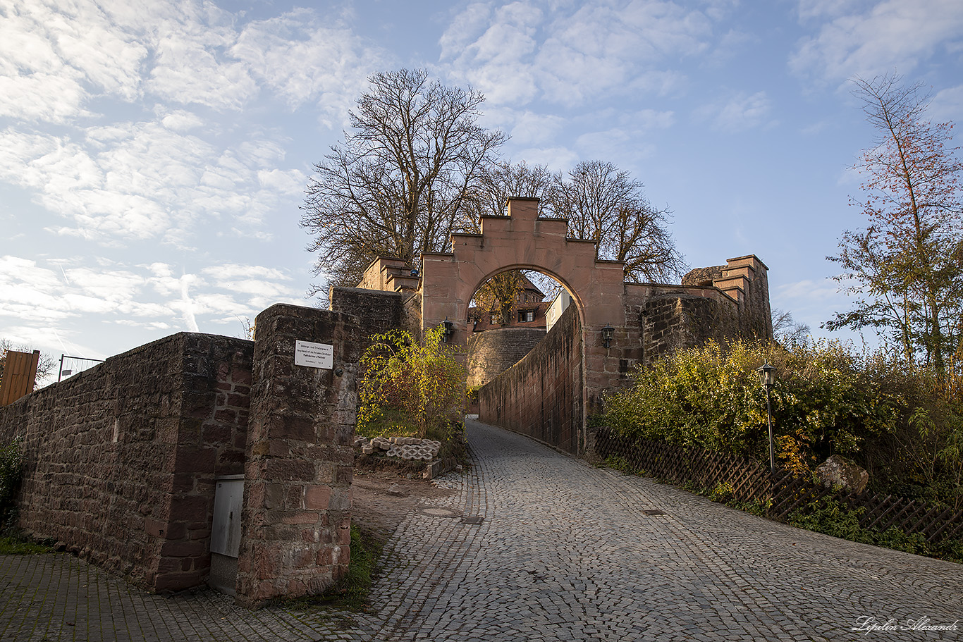 Замок Ринек (Burg Rieneck)  - Ринек (Rieneck) - Германия (Deutschland)