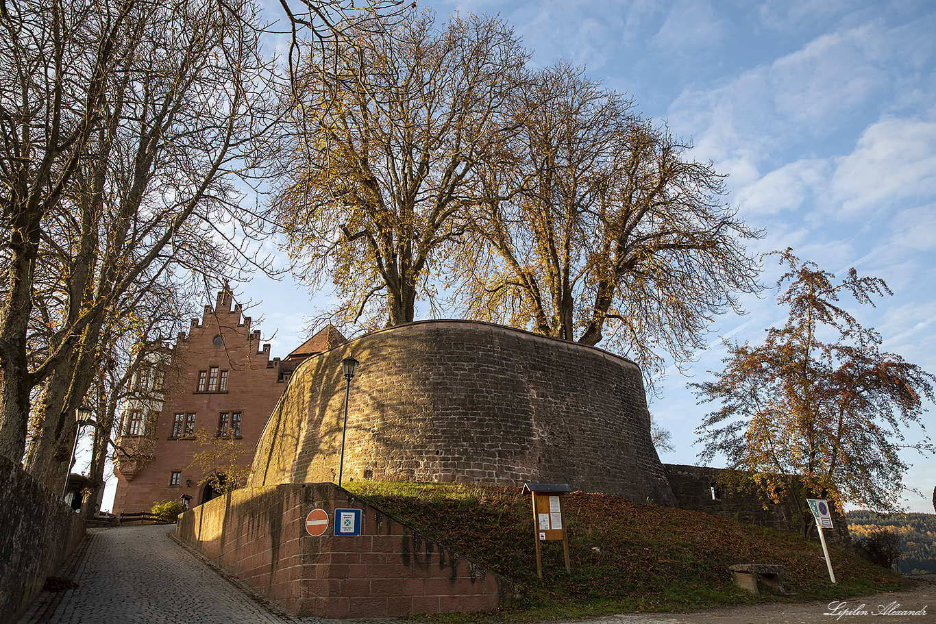 Замок Ринек (Burg Rieneck)  - Ринек (Rieneck) - Германия (Deutschland)