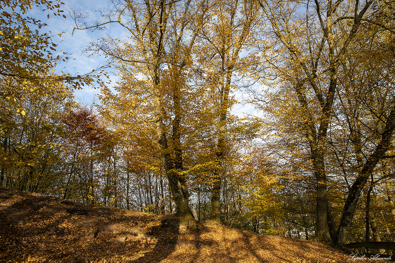 Замок Ринек (Burg Rieneck)  - Ринек (Rieneck) - Германия (Deutschland)